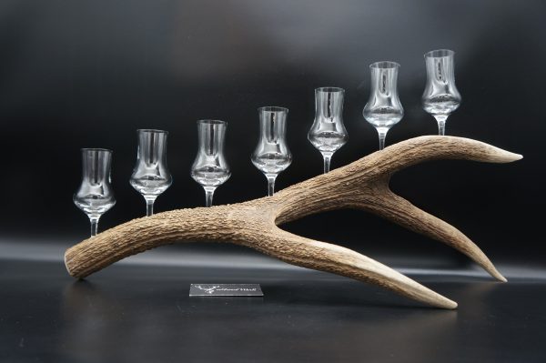 Geweihbar 7er Hirsch – Bild 6