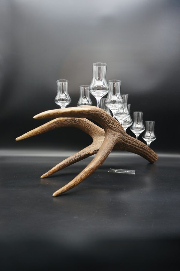 Geweihbar 9er Hirsch – Bild 12