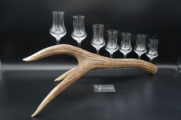 Geweihbar 7er Hirsch – Bild 4