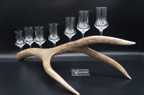 Geweihbar 7er Hirsch – Bild 11