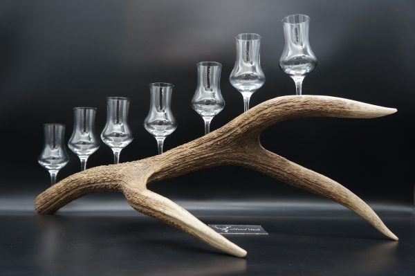 Geweihbar 7er Hirsch – Bild 14