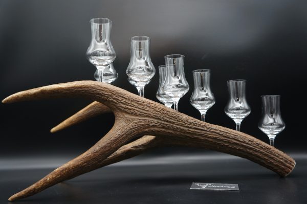 Geweihbar 9er Hirsch – Bild 5