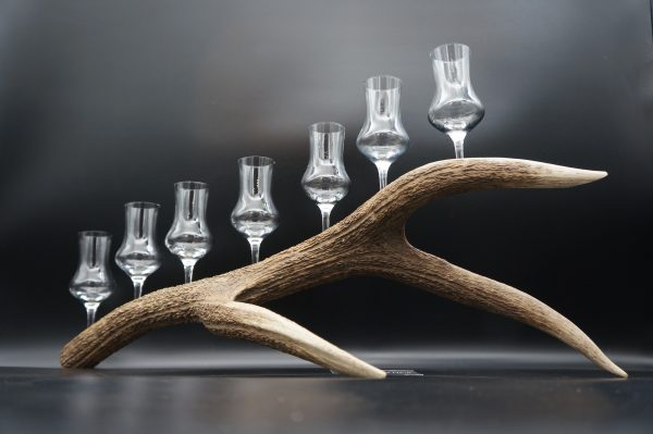 Geweihbar 7er Hirsch – Bild 5