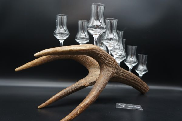 Geweihbar 9er Hirsch – Bild 7