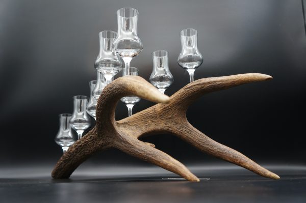 Geweihbar 9er Hirsch – Bild 2