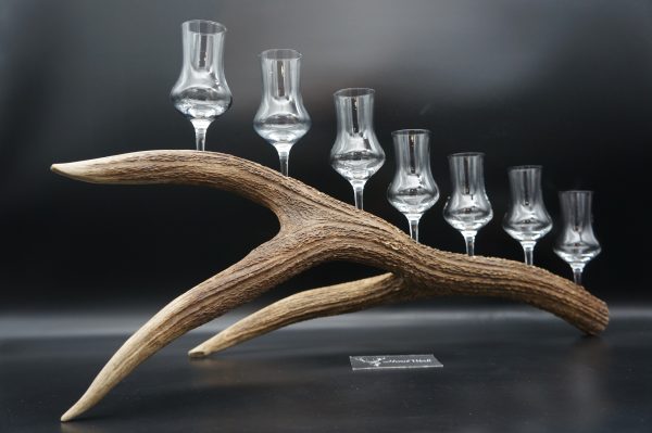 Geweihbar 7er Hirsch – Bild 9