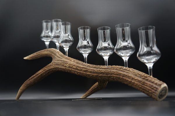 Geweihbar 7er Hirsch – Bild 8
