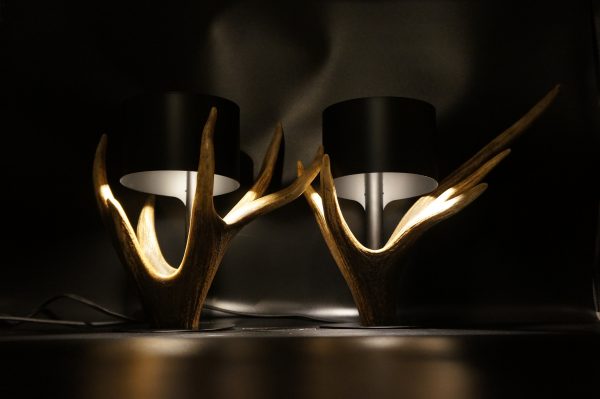 Lampen Set Hirsch – Bild 12