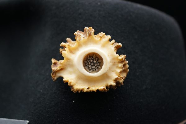 Hutschmuck Rehrose – Bild 5