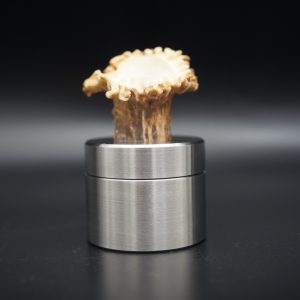 Pillendose Reh 3,9CM