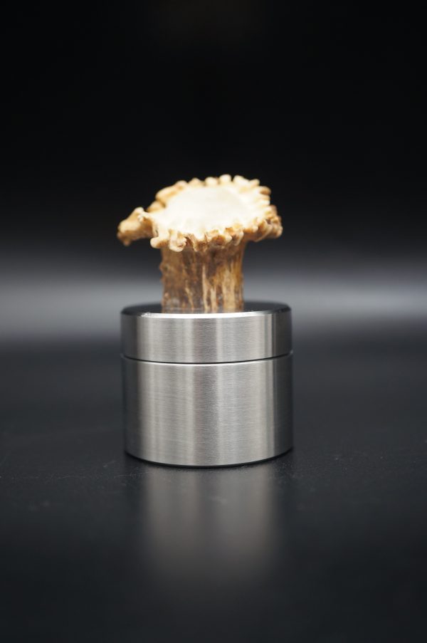Pillendose Reh 3,9CM