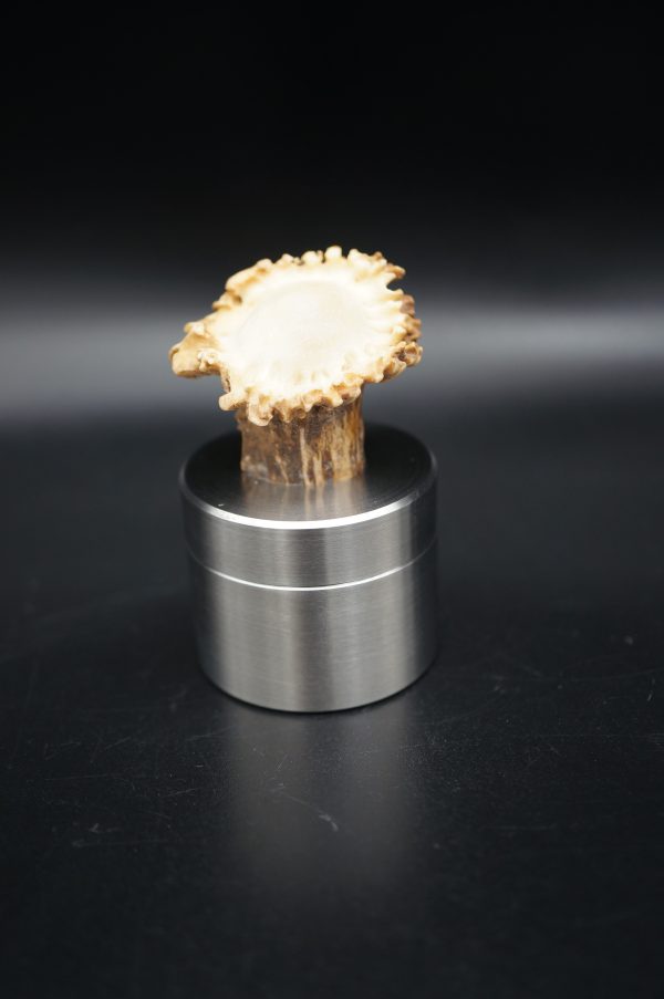 Pillendose Reh 3,9CM – Bild 3
