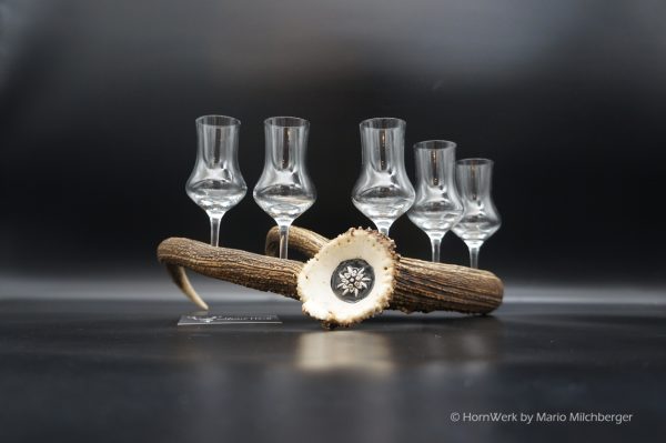 Geweihbar 5er Hirsch – Bild 7