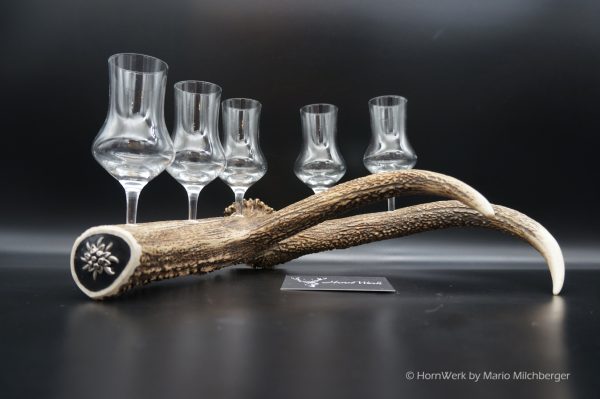 Geweihbar 5er Hirsch – Bild 6