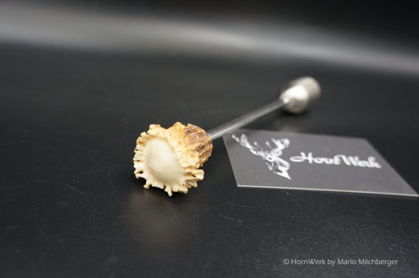 Honiglöffel Reh – Bild 6