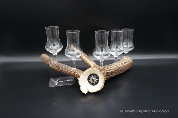 Geweihbar 5er Hirsch – Bild 5