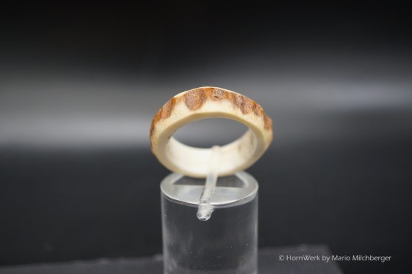 Hirschhornring 17mm – Bild 3