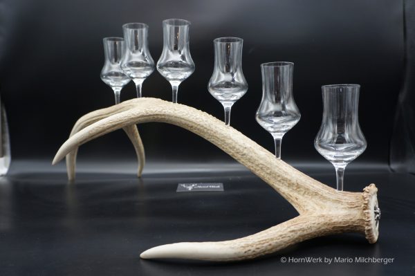 Geweihbar 6er Hirsch – Bild 3