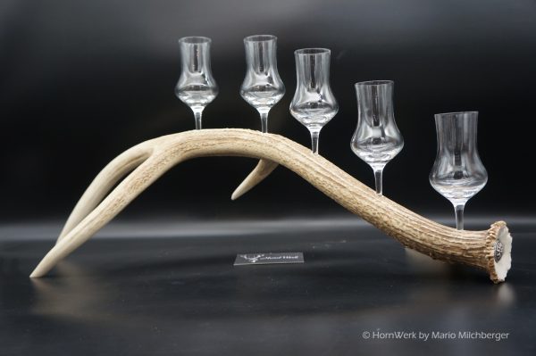 Geweihbar 5er Hirsch – Bild 4