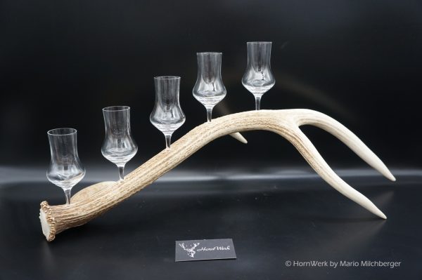 Geweihbar 5er Hirsch – Bild 5