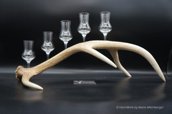 Geweihbar 5er Hirsch – Bild 3