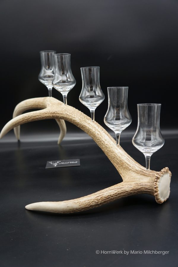 Geweihbar 5er Hirsch – Bild 8