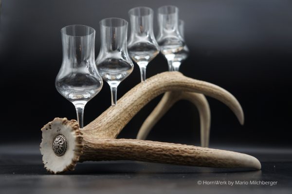Geweihbar 5er Hirsch – Bild 5