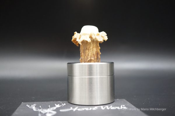 Pillendose Reh 3,9CM – Bild 4