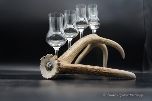 Geweihbar 5er Hirsch