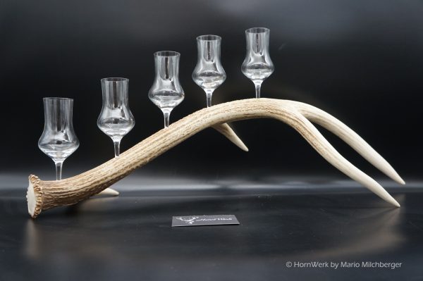 Geweihbar 5er Hirsch – Bild 7