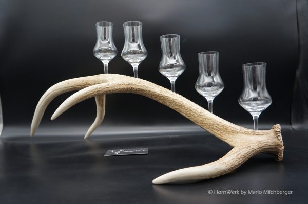 Geweihbar 5er Hirsch – Bild 4