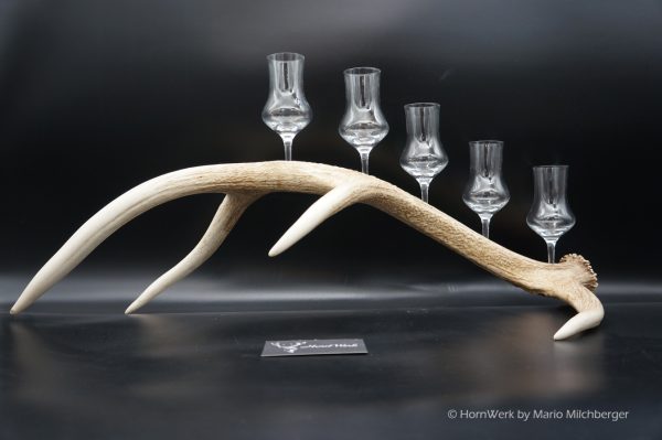 Geweihbar 5er Hirsch – Bild 2