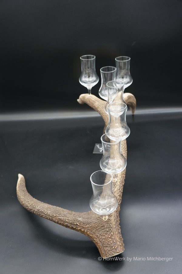 Geweihbar 7er Hirsch – Bild 3