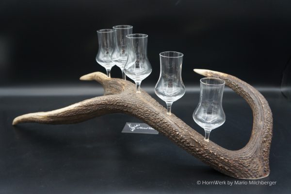 Geweihbar 5er Hirsch – Bild 7