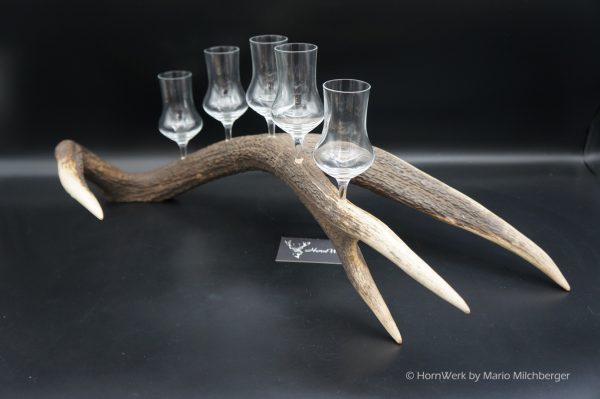 Geweihbar 5er Hirsch – Bild 5