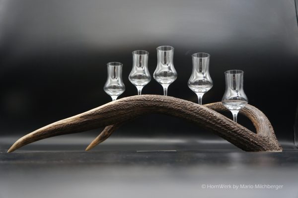 Geweihbar 5er Hirsch – Bild 6