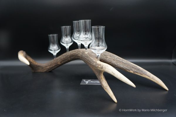 Geweihbar 5er Hirsch – Bild 4