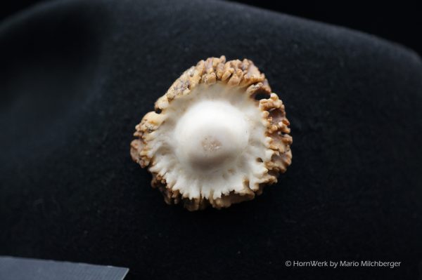 Hutschmuck Rehrose – Bild 4