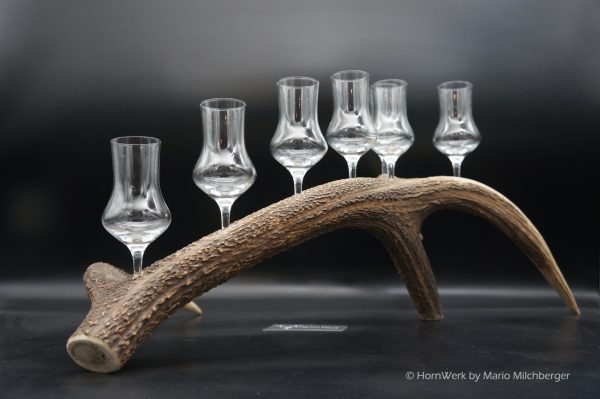Geweihbar 7er Hirsch – Bild 2