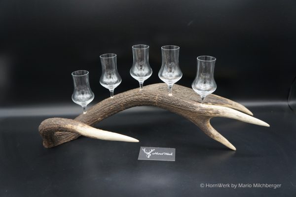 Geweihbar 5er Hirsch – Bild 3