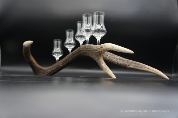 Geweihbar 5er Hirsch – Bild 2