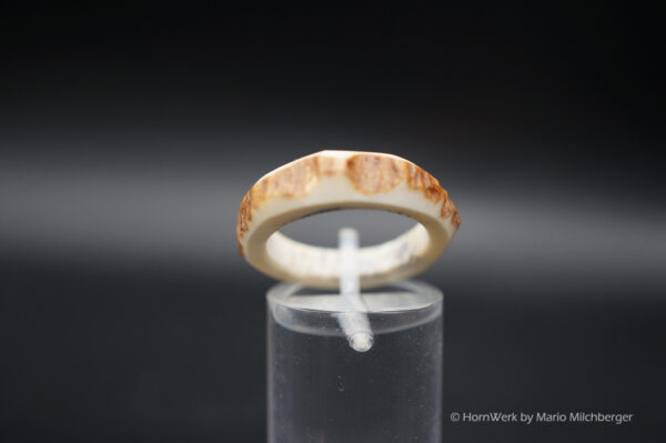 Hirschhornring 17mm – Bild 2