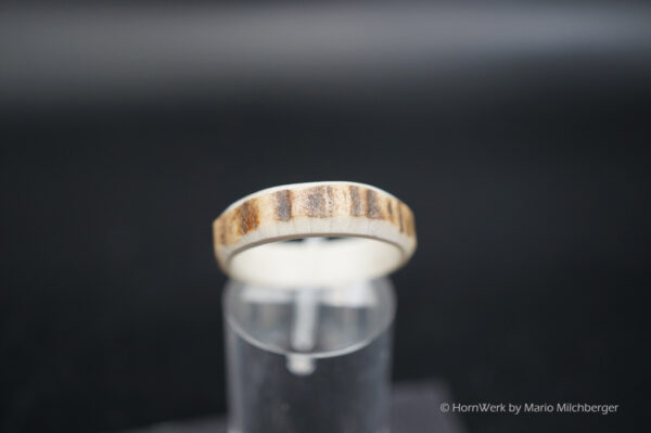 Hirschhornring 18mm – Bild 3