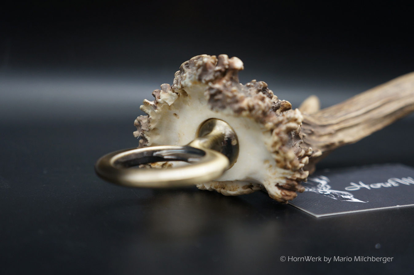 Flaschenöffner Reh XXL – Bild 7