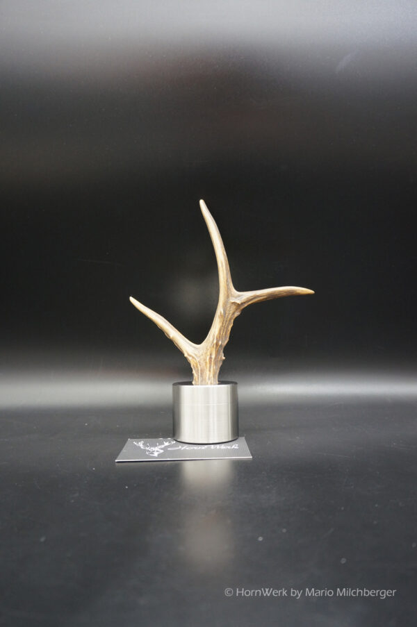 Pillendose Reh 4,9CM