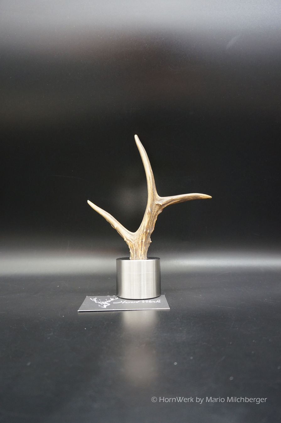 Pillendose Reh 4,9CM