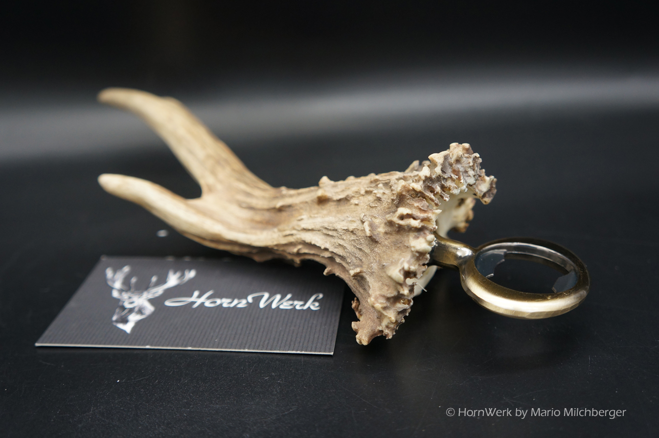 Flaschenöffner Reh XXL – Bild 4