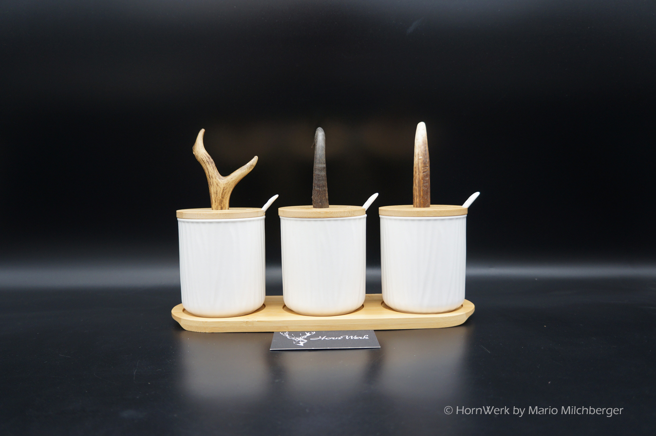 Gewürzdosen Set – Bild 4