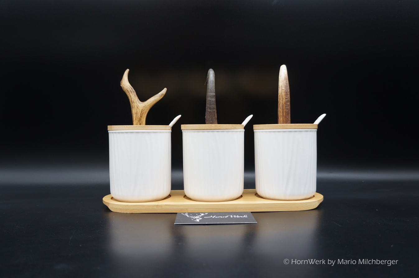 Gewürzdosen Set – Bild 2