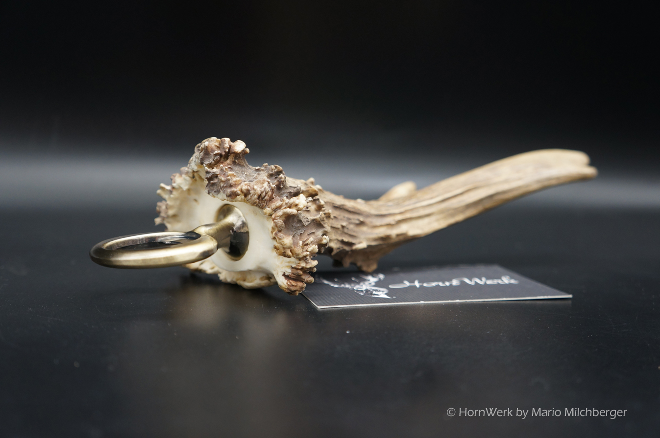 Flaschenöffner Reh XXL – Bild 2